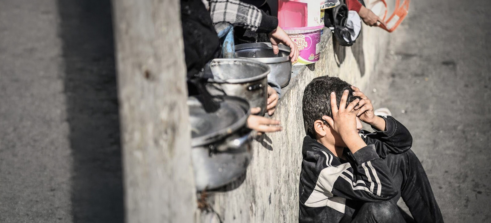  Gaza Emergency Appeal 